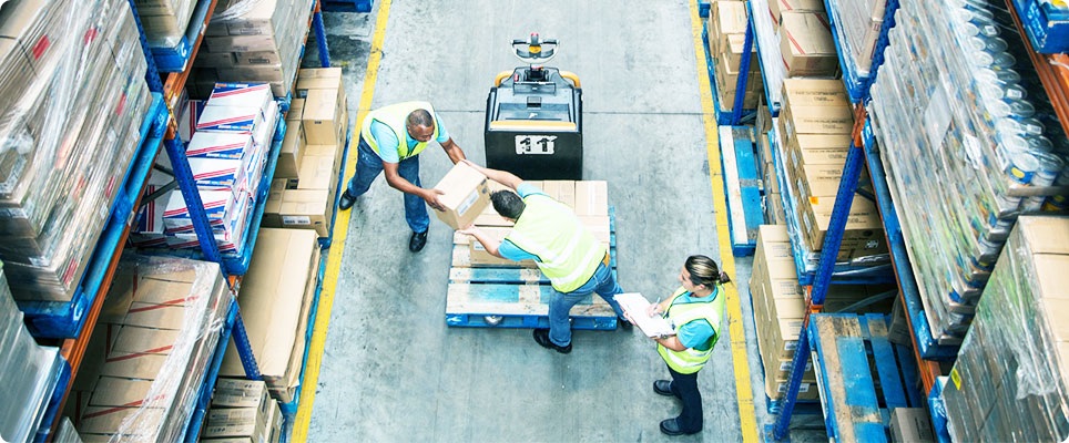 Team working in the warehouse