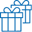 Gift Icon