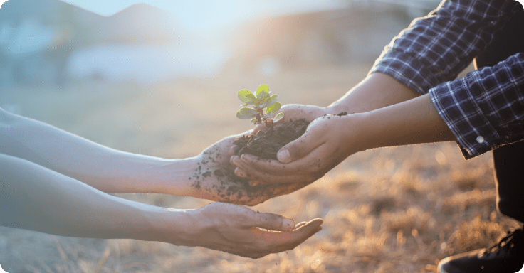 Support Sustainable Development